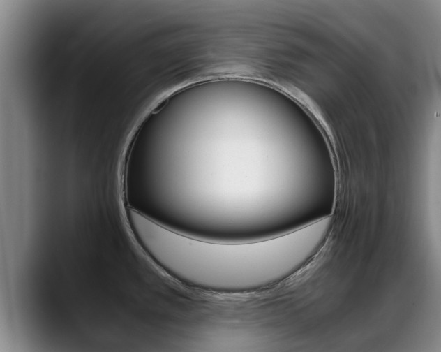 X0000089431389200706151014