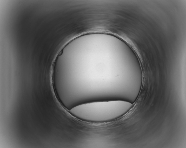 X0000089431390200706151014