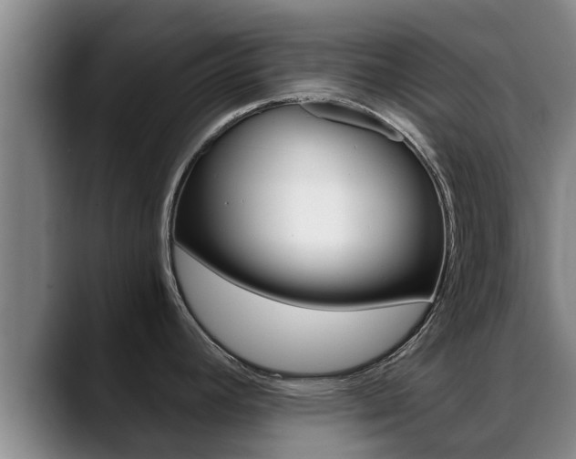 X0000089431392200706151014