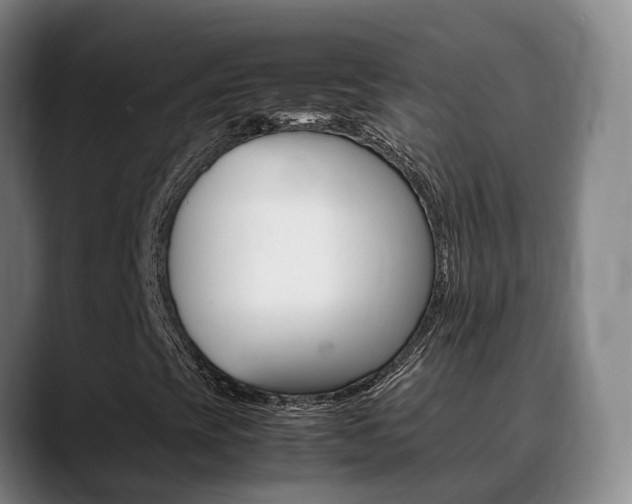 X0000089431393200706151013