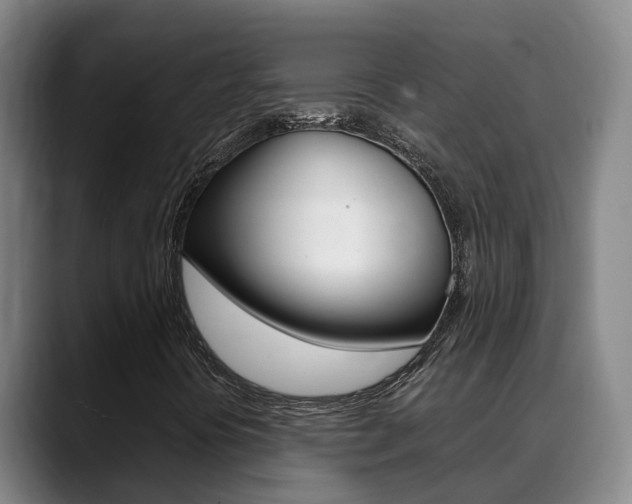 X0000089431394200706151013