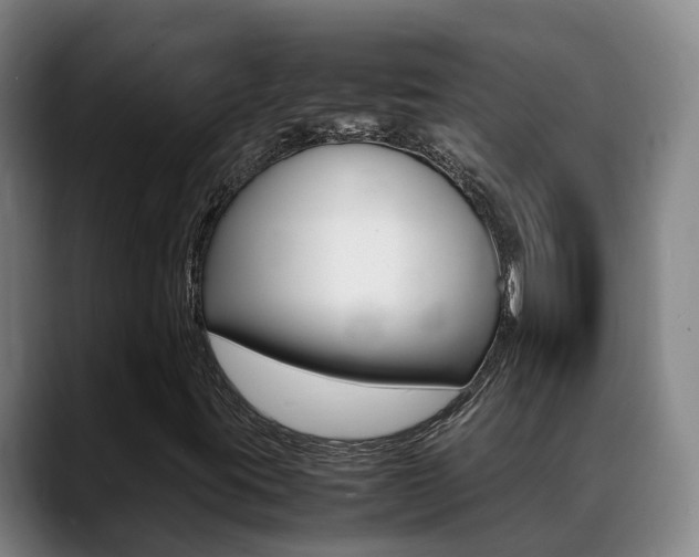 X0000089431395200706151013