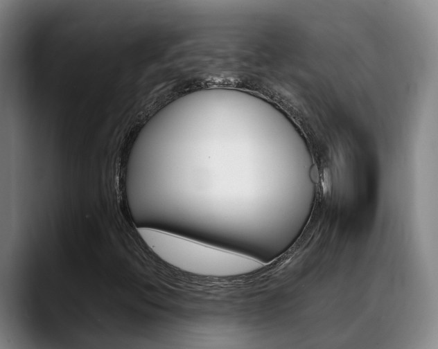X0000089431396200706151013