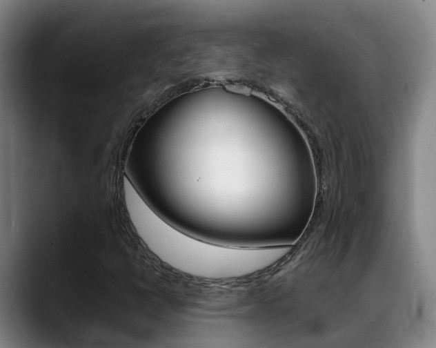 X0000089431398200706151013