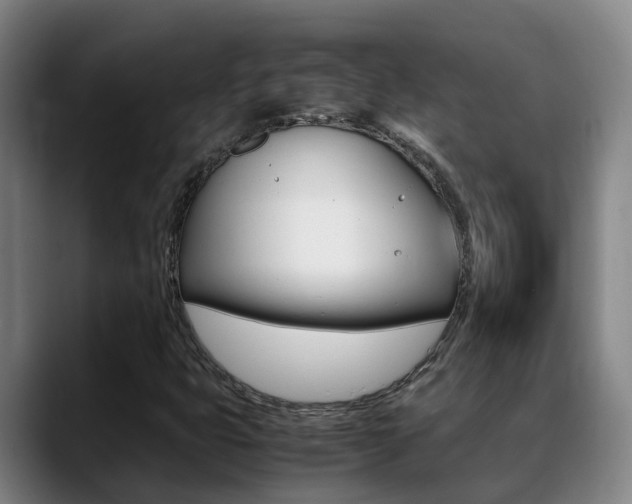 X0000089431399200706151013