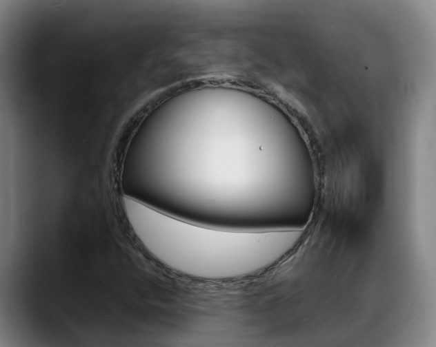X0000089431400200706151013