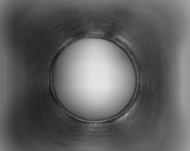 X0000089431401200706151013