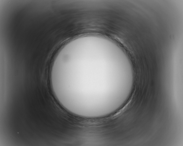 X0000089431402200706151013