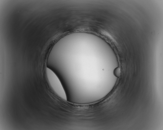 X0000089431403200706151013
