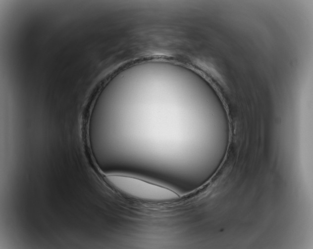 X0000089431404200706151013