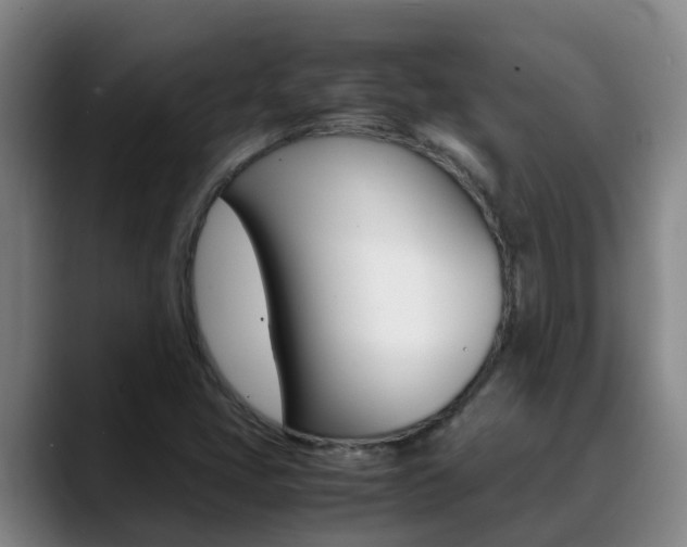 X0000089431405200706151013