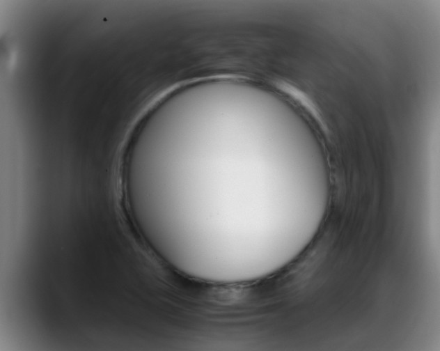 X0000089431415200706151013