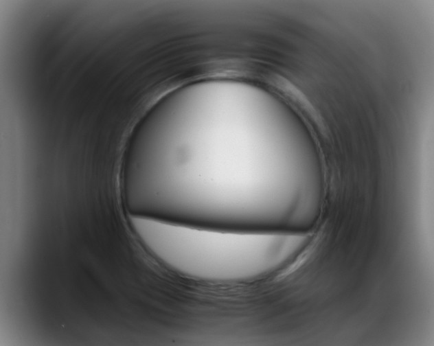 X0000089431417200706151013