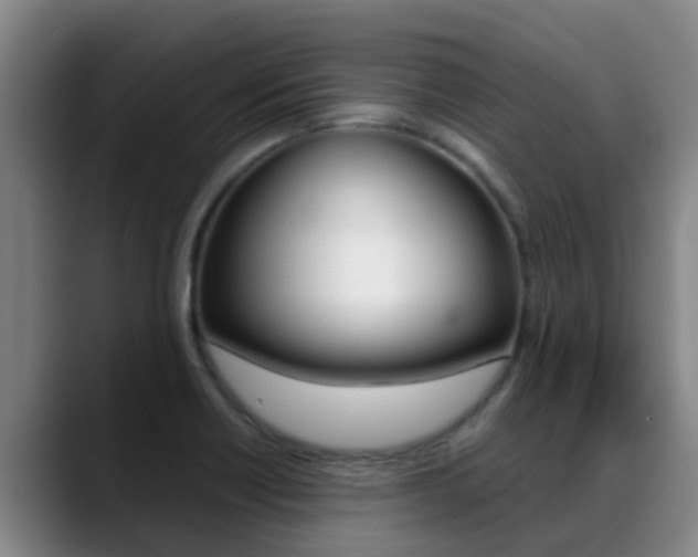 X0000089431418200706151013
