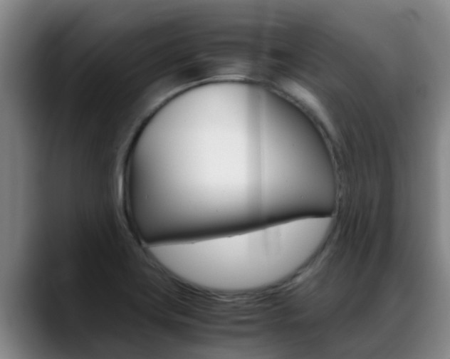 X0000089431419200706151013