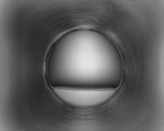 X0000089431420200706151013