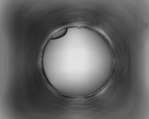 X0000089431421200706151013