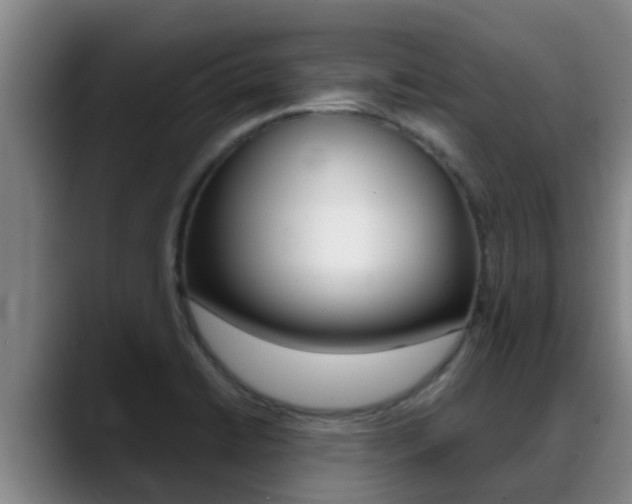 X0000089431422200706151013