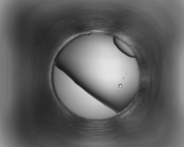 X0000089431423200706151013