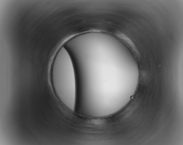 X0000089431427200706151013