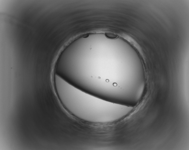 X0000089431429200706151013