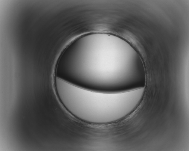 X0000089431432200706151014