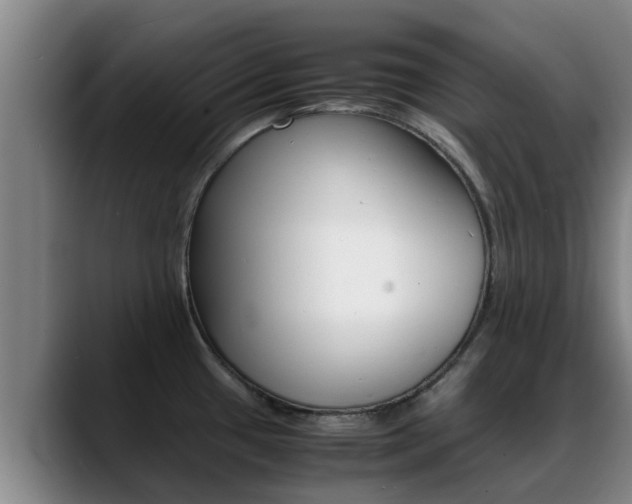 X0000089431433200706151014