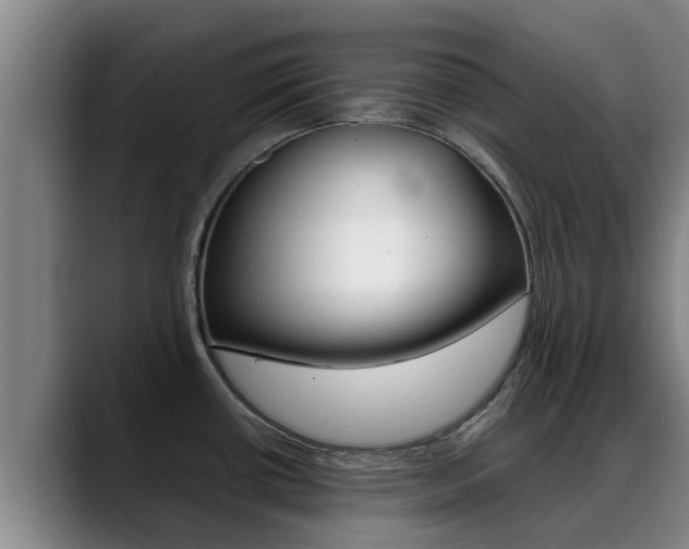 X0000089431434200706151014