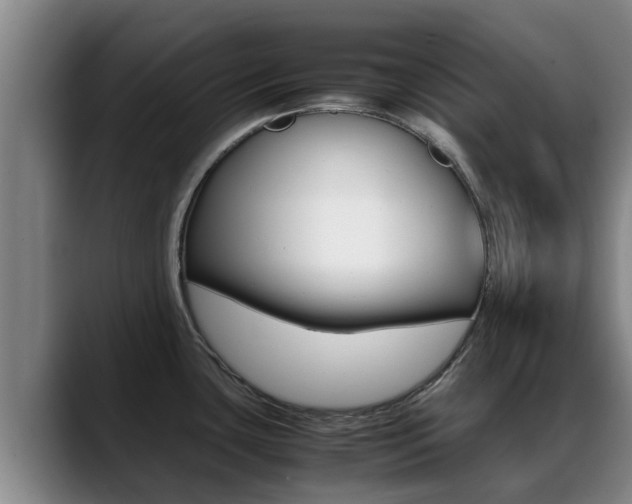 X0000089431435200706151014