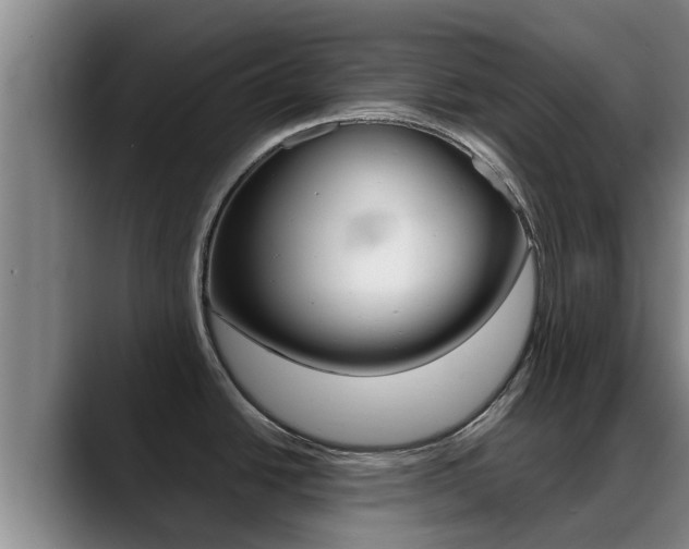 X0000089431438200706151014