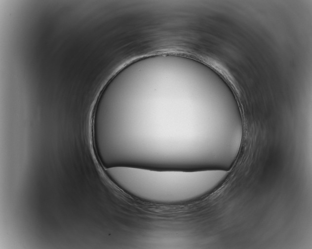 X0000089431439200706151014
