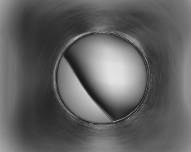 X0000089431440200706151014