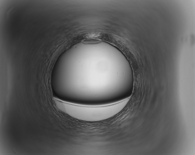 X0000089431441200706151013