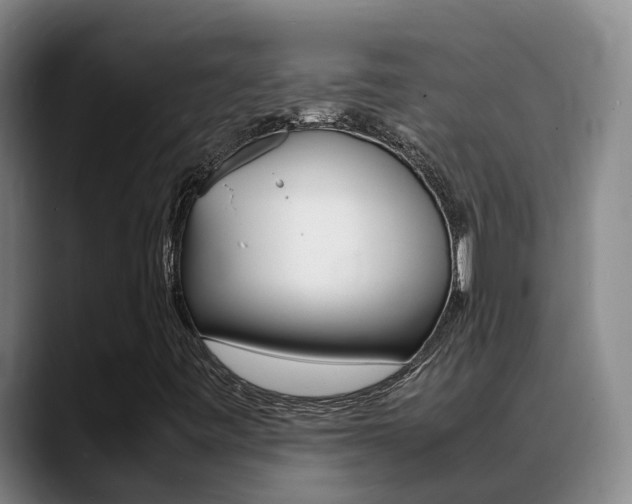 X0000089431443200706151013