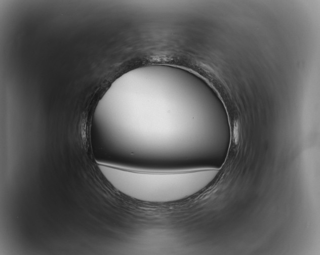 X0000089431444200706151013