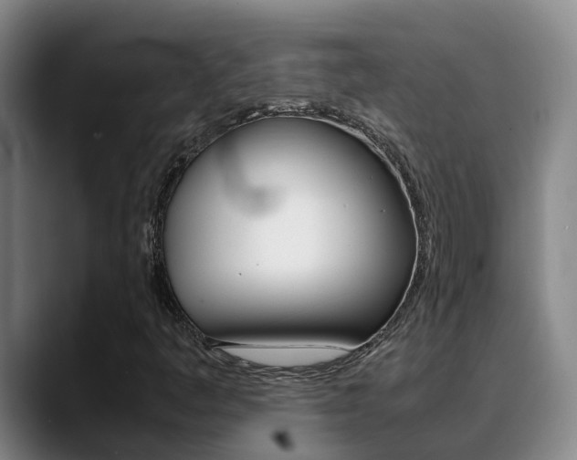 X0000089431445200706151013
