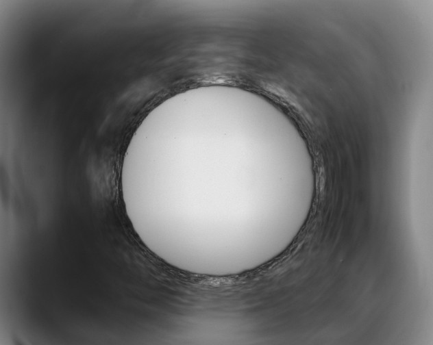 X0000089431446200706151013