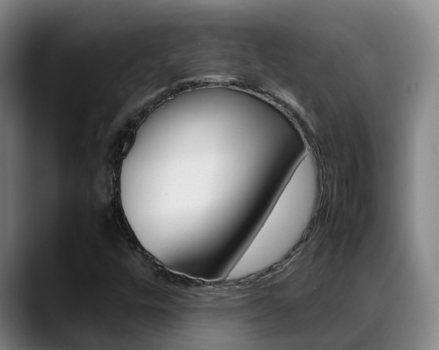 X0000089431448200706151013