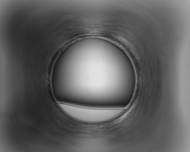 X0000089431449200706151013