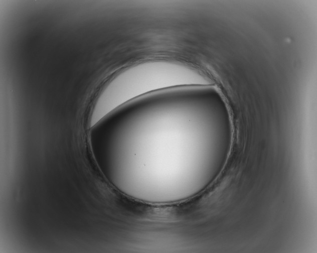 X0000089431453200706151013