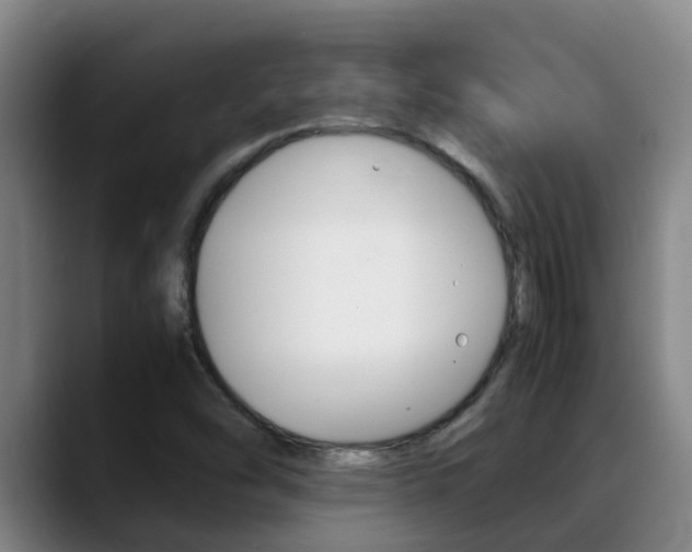 X0000089431454200706151013