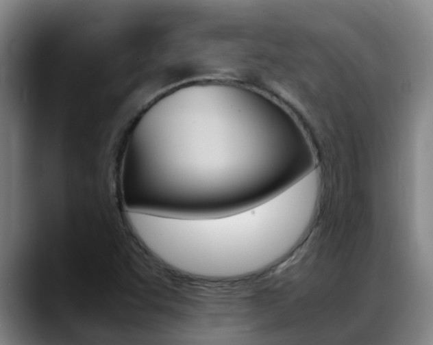 X0000089431455200706151013