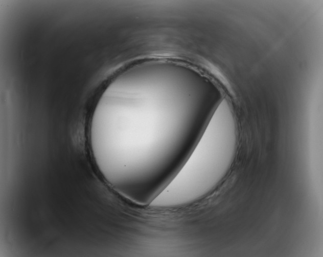 X0000089431456200706151013