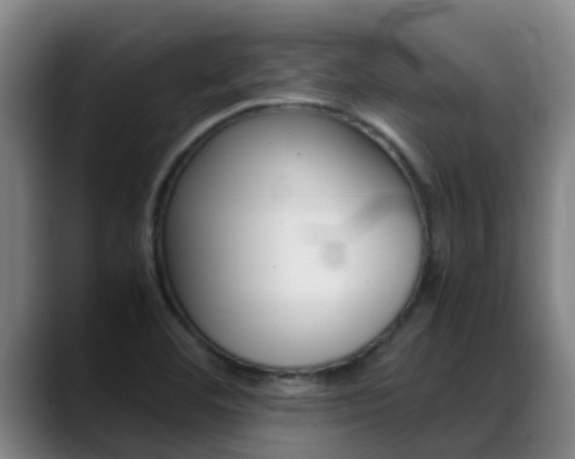 X0000089431460200706151013