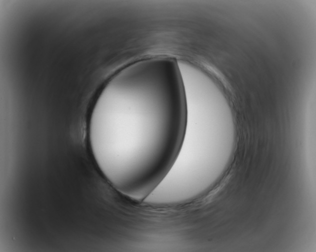 X0000089431461200706151013