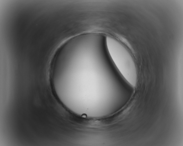 X0000089431463200706151013