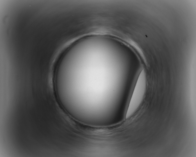 X0000089431464200706151013
