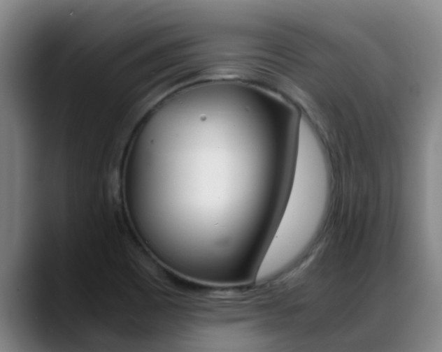 X0000089431465200706151013