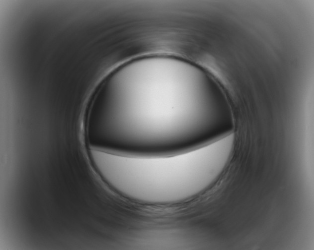 X0000089431468200706151013