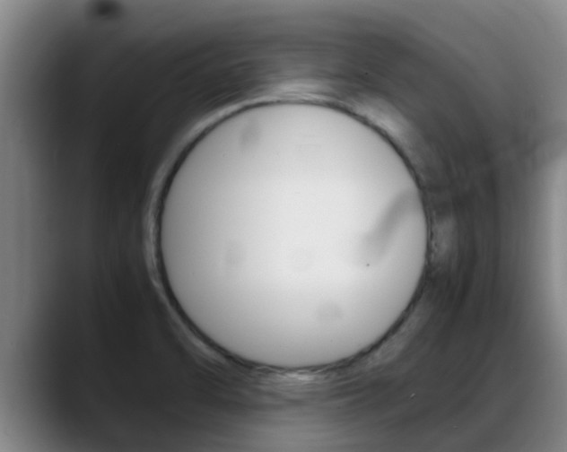 X0000089431470200706151013